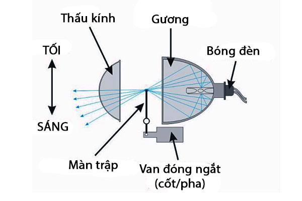 cau-tao-bi-led